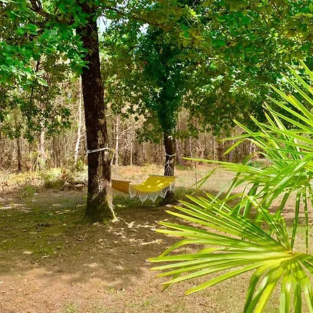 Hacienda De La Canopee Avec Piscine Chauffee Au Sel Bed & Breakfast