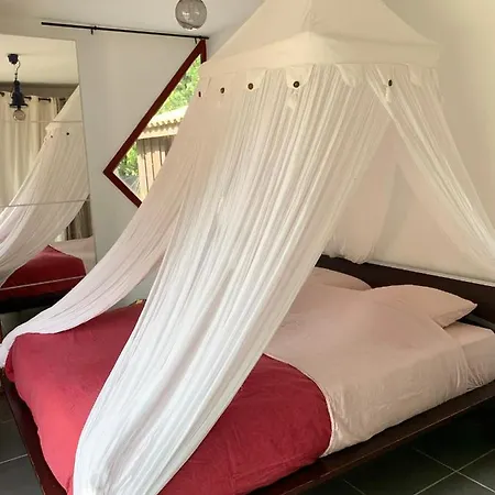 Bed & Breakfast Hacienda De La Canopee Avec Piscine Chauffee Au Sel *