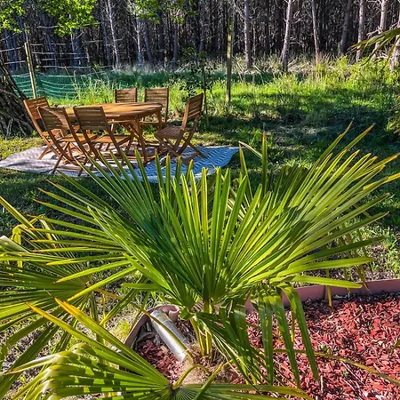 Hacienda De La Canopee Avec Piscine Chauffee Au Sel * Hourtin