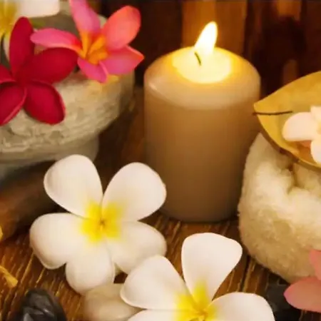 Hacienda De La Canopee Avec Piscine Chauffee Au Sel Bed & Breakfast *