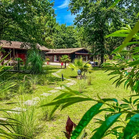 Hacienda De La Canopee Avec Piscine Chauffee Au Sel Bed & Breakfast