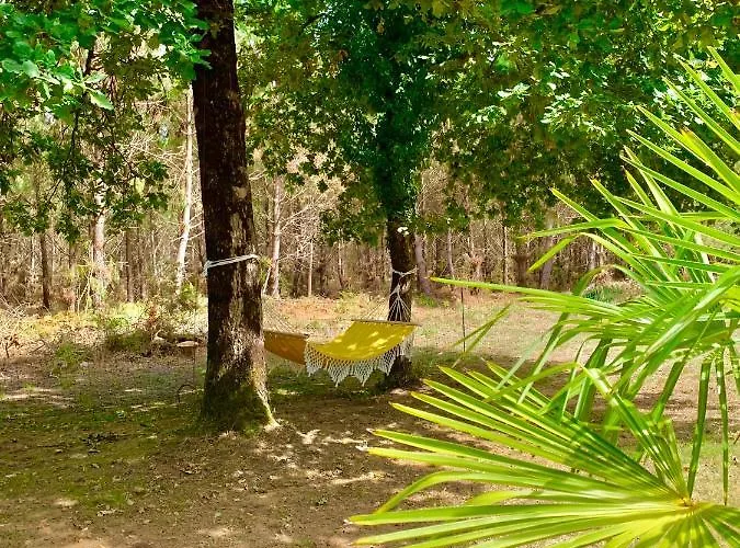 Hacienda De La Canopee Avec Piscine Chauffee Au Sel Bed & Breakfast