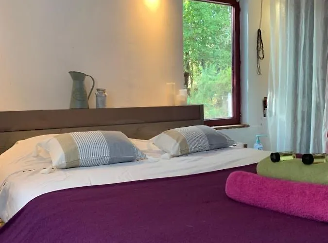 Hacienda De La Canopee Avec Piscine Chauffee Au Sel *