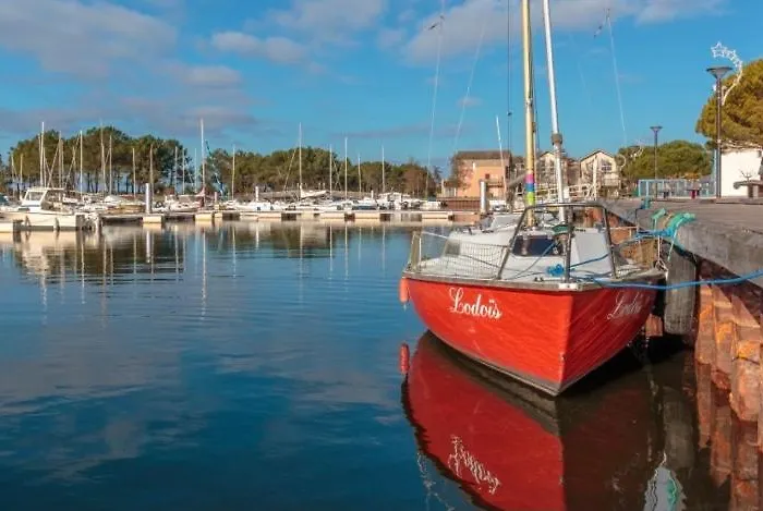 Hacienda De La Canopee Avec Piscine Chauffee Au Sel Bed & Breakfast