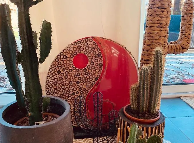 Hacienda De La Canopee Avec Piscine Chauffee Au Sel Bed & Breakfast