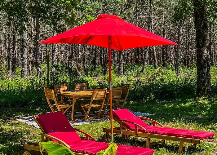 Hacienda De La Canopee Avec Piscine Chauffee Au Sel