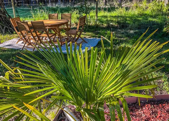 Hacienda De La Canopee Avec Piscine Chauffee Au Sel * Hourtin