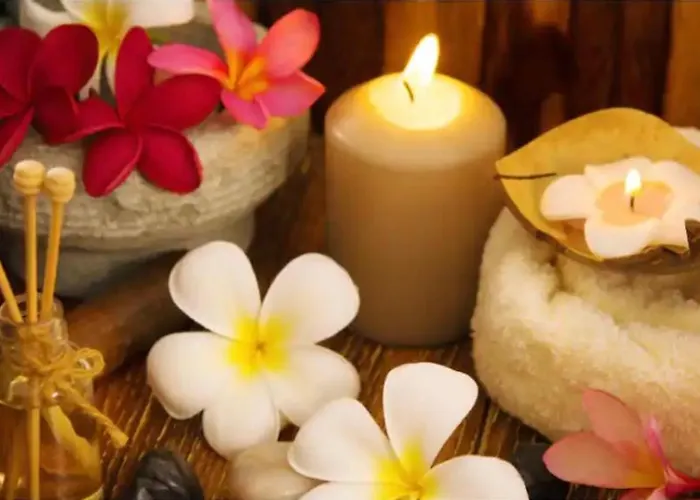 Hacienda De La Canopee Avec Piscine Chauffee Au Sel Bed & Breakfast *