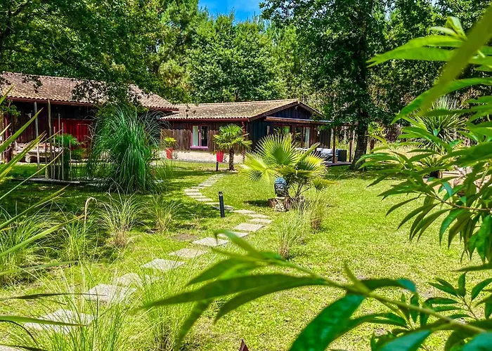 Hacienda De La Canopee Avec Piscine Chauffee Au Sel Bed & Breakfast
