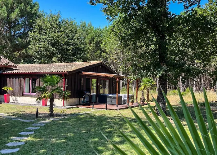Bed & Breakfast Hacienda De La Canopee Avec Piscine Chauffee Au Sel *