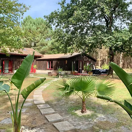 Bed and breakfast Hacienda De La Canopée