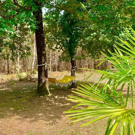 Hacienda De La Canopée Bed and breakfast